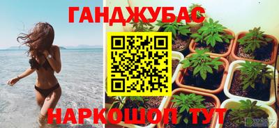 стаф Коммунар