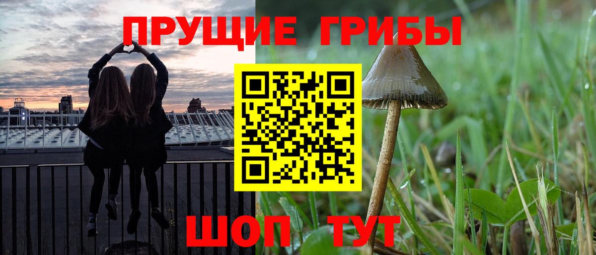 Псилоцибиновые грибы ЛСД Тверь