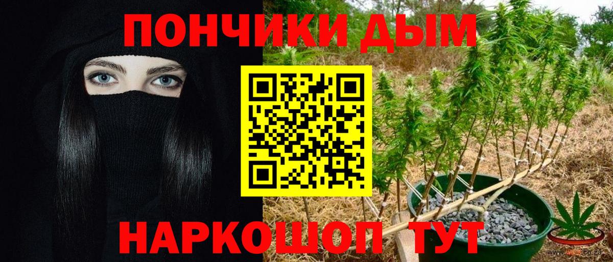 Бошки Шишки индика  Вход с VPN  Марихуана сатива  Тверь  Каннабис индика 